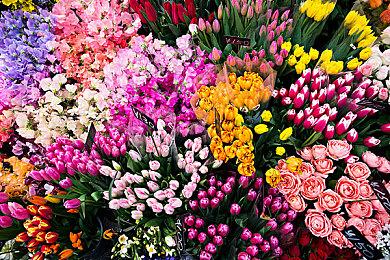 《驯龙高手》真人电影中文海报发布 2025年北美上映